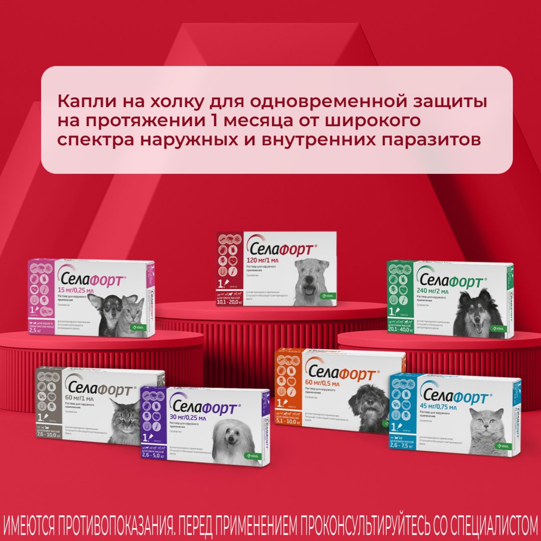 Средство KRKA Селафорт капли от блох, от клещей, от власоедов для собак 10-20 кг 1 пипетка