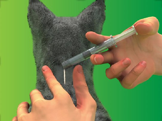 Средство Boehringer Ingelheim NexGard COMBO S для кошек до 2.5 кг шприц-дозатор 3*0,3 мл купить,17598