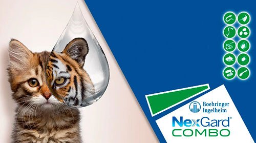 Средство Boehringer Ingelheim NexGard COMBO S для кошек до 2.5 кг шприц-дозатор 3*0,3 мл купить,17598