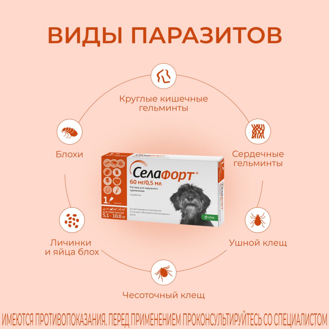 Средство KRKA Селафорт капли от блох, от клещей, от власоедов для собак 5.1-10 кг 0.5 мл 1 пипетка