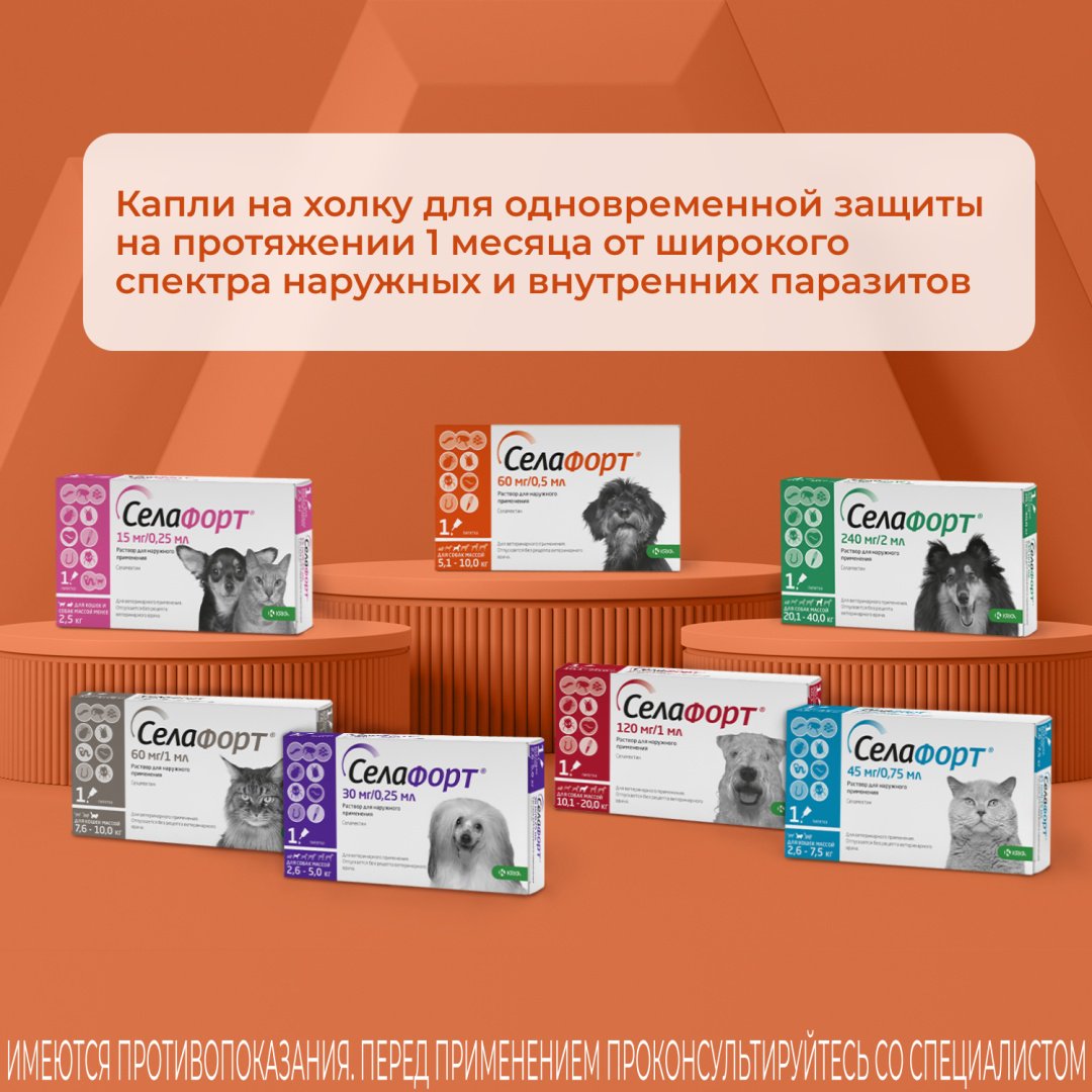 Средство KRKA Селафорт капли от блох, от клещей, от власоедов для собак 5.1-10 кг 0.5 мл 1 пипетка