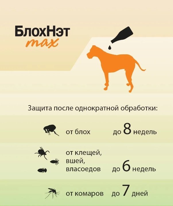 Средство Астрафарм БлохНэт капли от блох, от клещей, от власоедов для собак 30-40 кг 1 пипетка