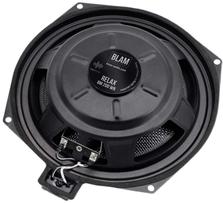Сабвуфер BLAM BM 200WN купить,335600