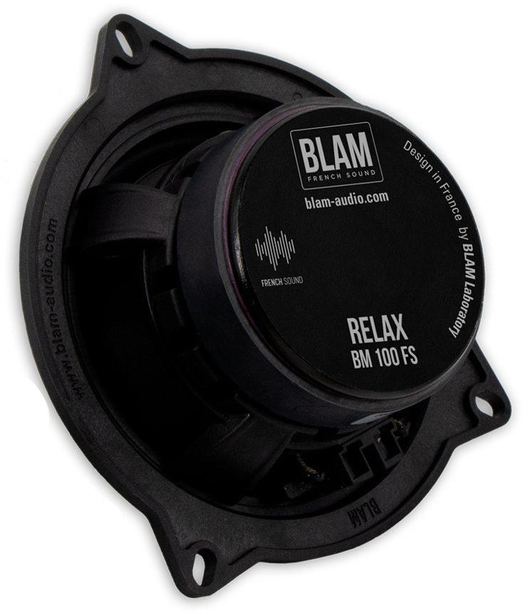 BLAM компонентная АС BM 100FS купить,209510