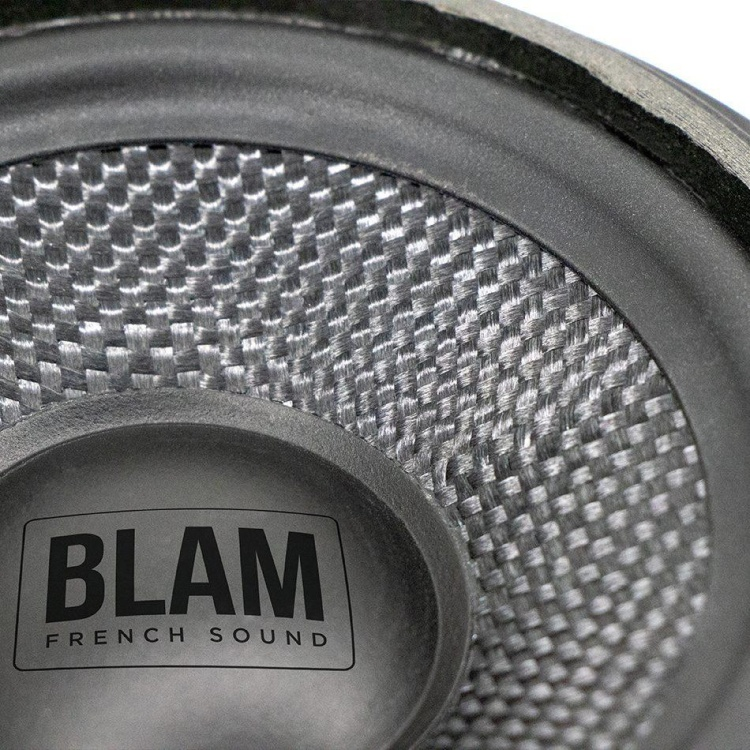  BLAM компонентная АС BM 100NS