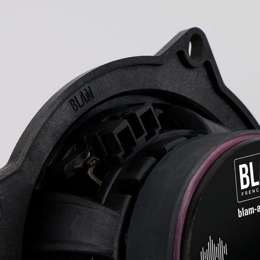 BLAM компонентная АС BM 100FS