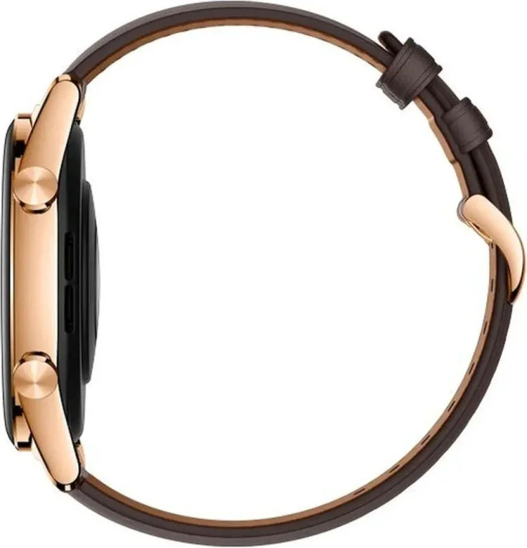 Смарт-часы  Honor Watch GS 3 MUS-B19 Classic Gold