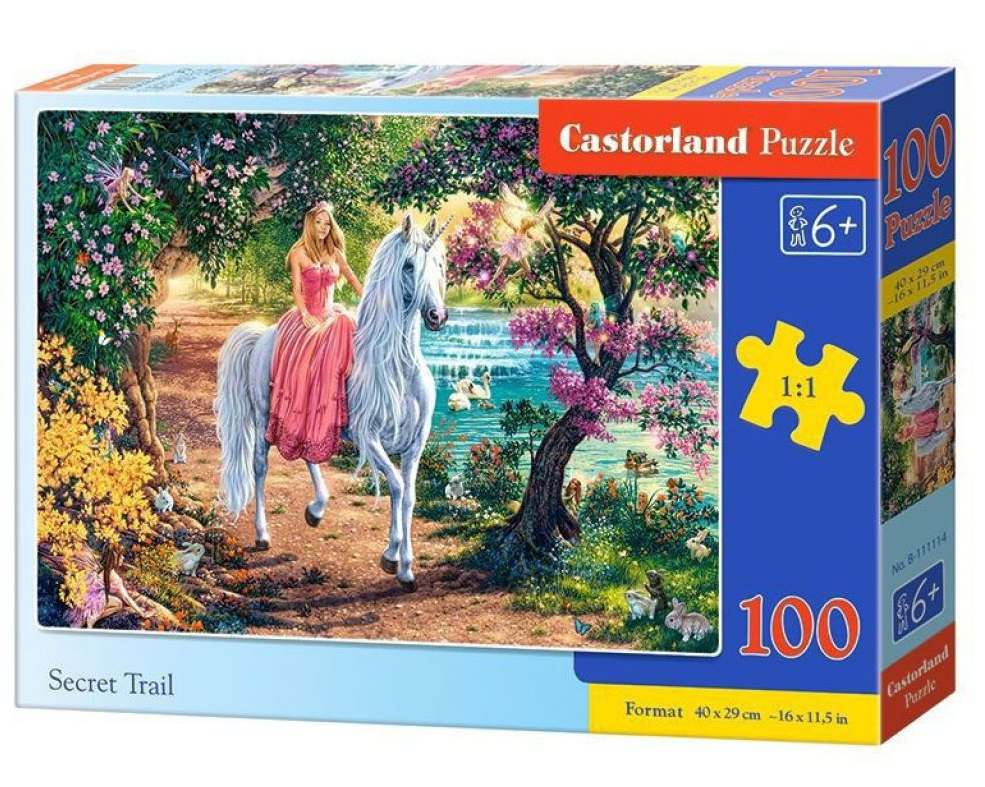 Пазлы Castorland Тайные тропы 100 дет купить,NaN