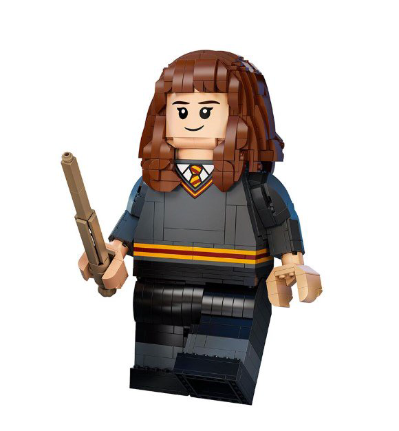Фигурка Lego Harry Potter Гарри Поттер и Гермиона Грейнджер 76393 купить,NaN