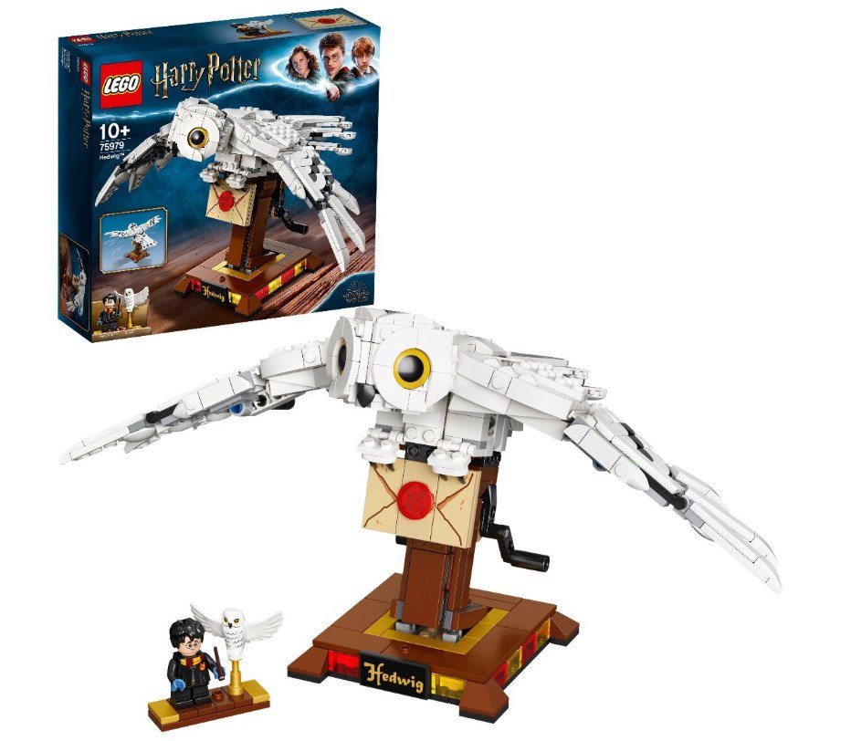 Конструктор Lego Harry Potter Букля   75979 купить,NaN