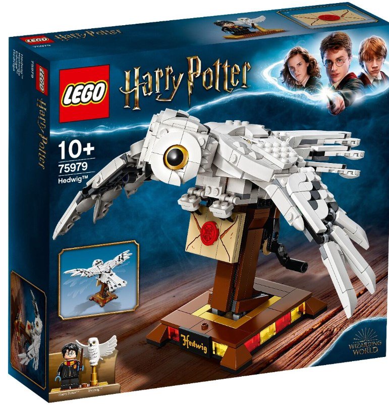 Конструктор Lego Harry Potter Букля   75979 купить,NaN