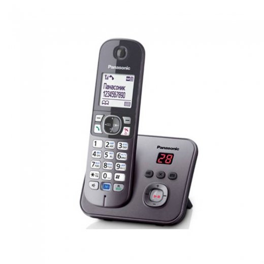 Радиотелефон Panasonic KX-TG 6821 CAM серый