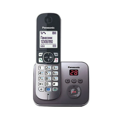 Радиотелефон Panasonic KX-TG 6821 CAM серый