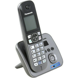 Радиотелефон Panasonic KX-TG 6821 CAM серый