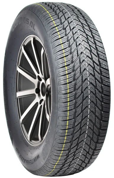 Шина Compasal WinterBlazer HP 2CL2162H1 215/60 R16 86T купить,NaN