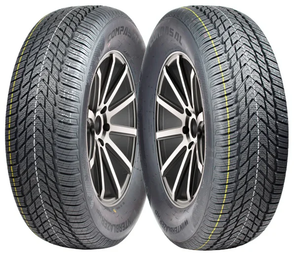 Шина Compasal WinterBlazer HP 2CL2162H1 215/60 R16 86T купить,NaN