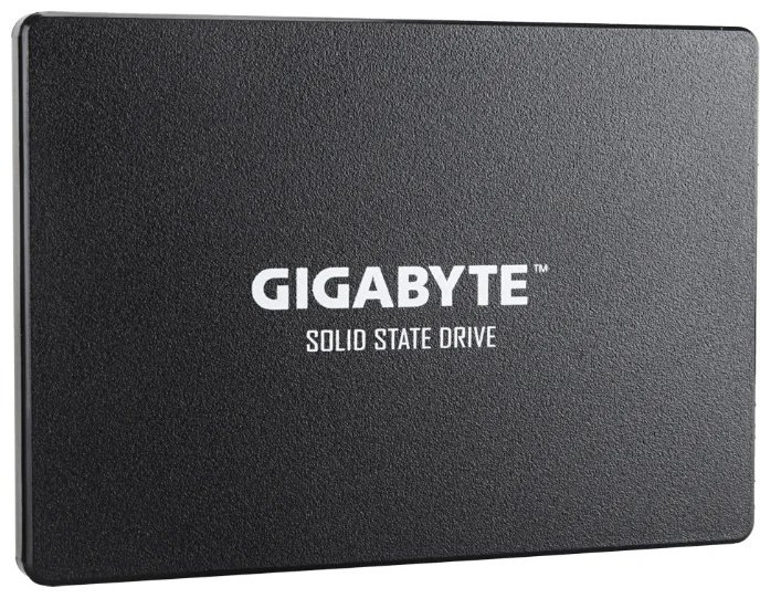 SSD GIGABYTE GP-GSTFS31256GTND 256 ГБ