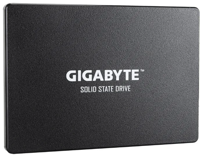 SSD GIGABYTE GP-GSTFS31256GTND 256 ГБ