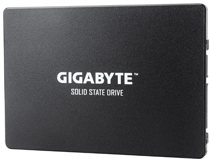 SSD GIGABYTE GP-GSTFS31256GTND 256 ГБ купить,29990