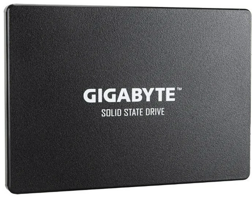SSD GIGABYTE GP-GSTFS31256GTND 256 ГБ