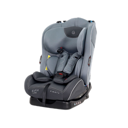 Автокресло Rant 1029A Fiesta City Line Grey