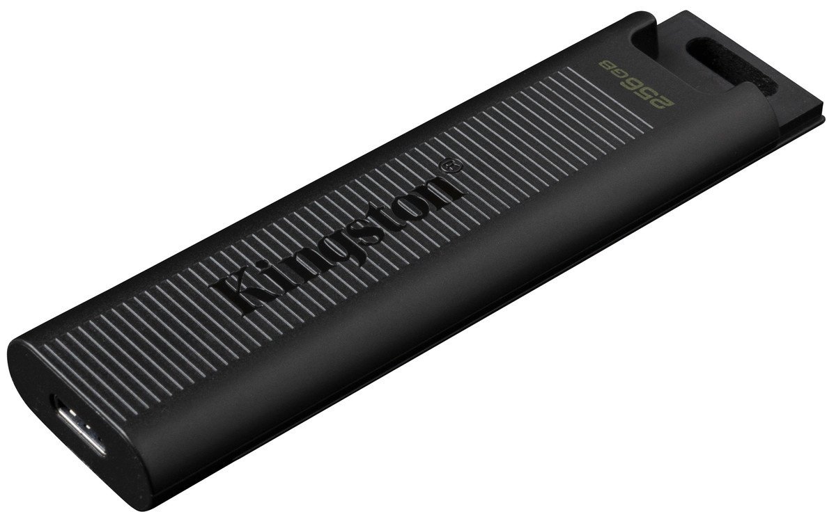 Kingston DataTraveler Max DTMAX/256GB 256GB черный купить,NaN