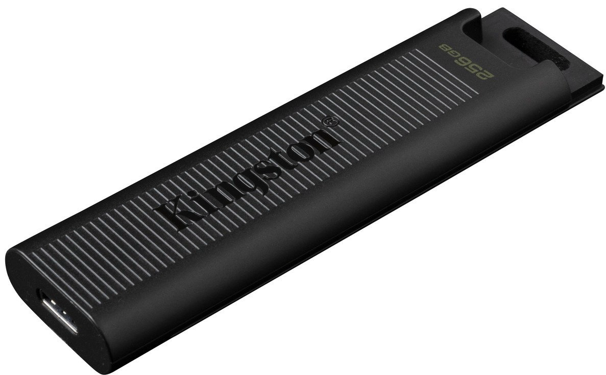 Kingston DataTraveler Max DTMAX/256GB 256GB черный купить,NaN
