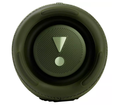 Портативная колонка JBL Flip 6 JBLFLIP6GREN Green купить,NaN