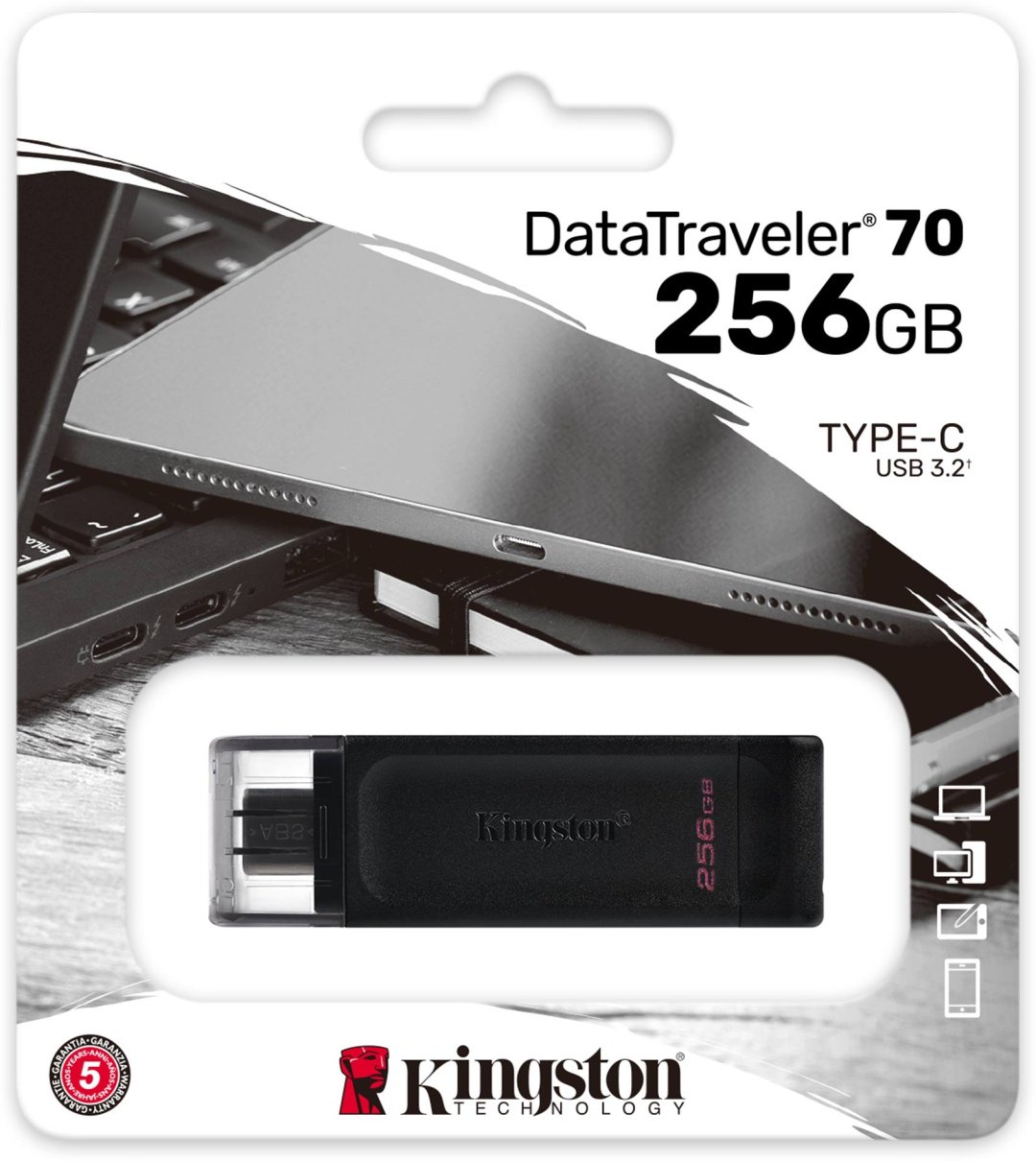 USB Flash карта Kingston DataTraveler 70 DT70/256GB 256 Гб купить,NaN