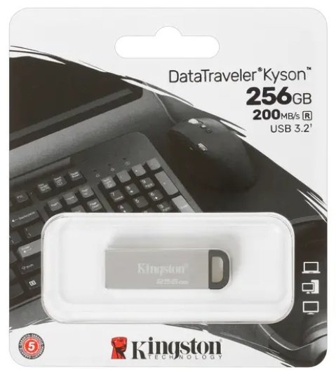 USB Flash карта Kingston DTKN/256GB 256 Гб