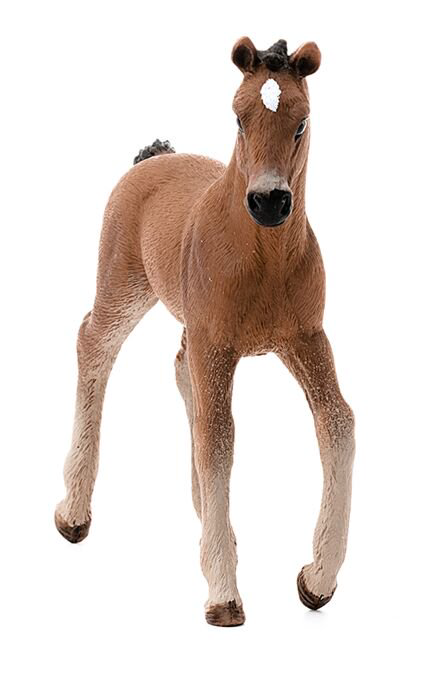 Фигурка Schleich Ганноверский жеребенок 13818 купить,NaN