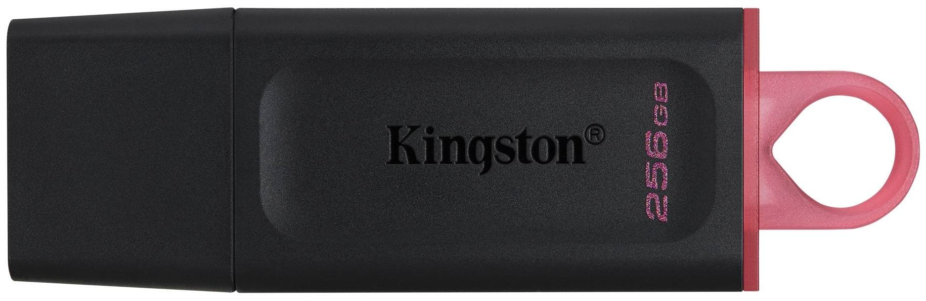 USB Flash карта Kingston DTX/256GB 256 Гб