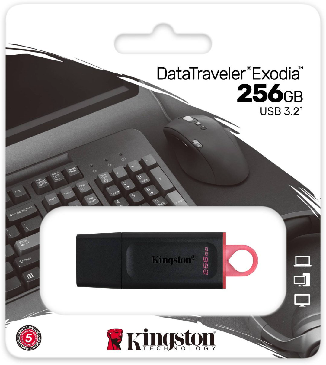 USB Flash карта Kingston DTX/256GB 256 Гб купить,19390