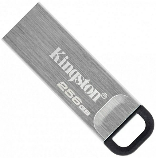 USB Flash карта Kingston DTKN/256GB 256 Гб