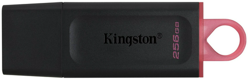 USB Flash карта Kingston DTX/256GB 256 Гб
