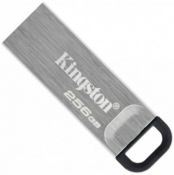 USB Flash карта Kingston DTKN/256GB 256 Гб