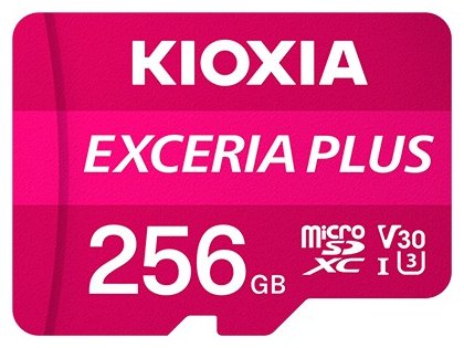 Карта памяти KIOXIA LMPL1M256GG2 256 Гб купить,NaN