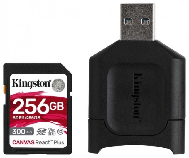 Карта памяти Kingston SDR2/256GB 256 Гб купить,NaN