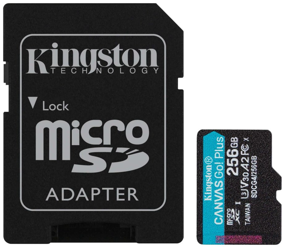 Карта памяти Kingston microSDXC Canvas Go! Plus (SDCG4/256GB) 256 Гб купить,45979
