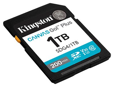 Карта памяти Kingston Secure Digital XC SDG4/1TB 1024 Гб