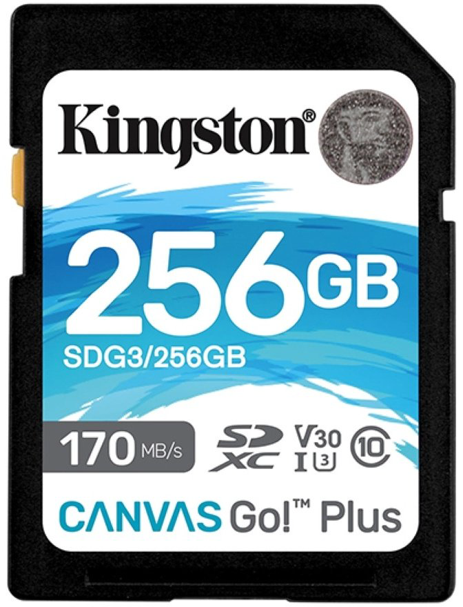 Карта памяти Kingston SDG3/256GB 256GB купить,NaN