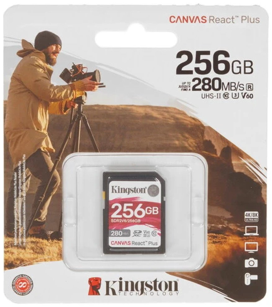 Карта памяти Kingston SDR2V6/256GB 256 Гб купить,NaN