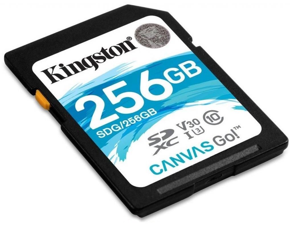 Карта памяти Kingston SDG3/256GB 256GB купить,NaN
