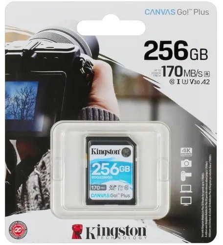 Карта памяти Kingston SDG3/256GB 256GB купить,NaN