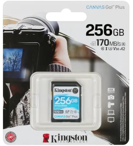 Карта памяти Kingston SDG3/256GB 256GB купить,NaN
