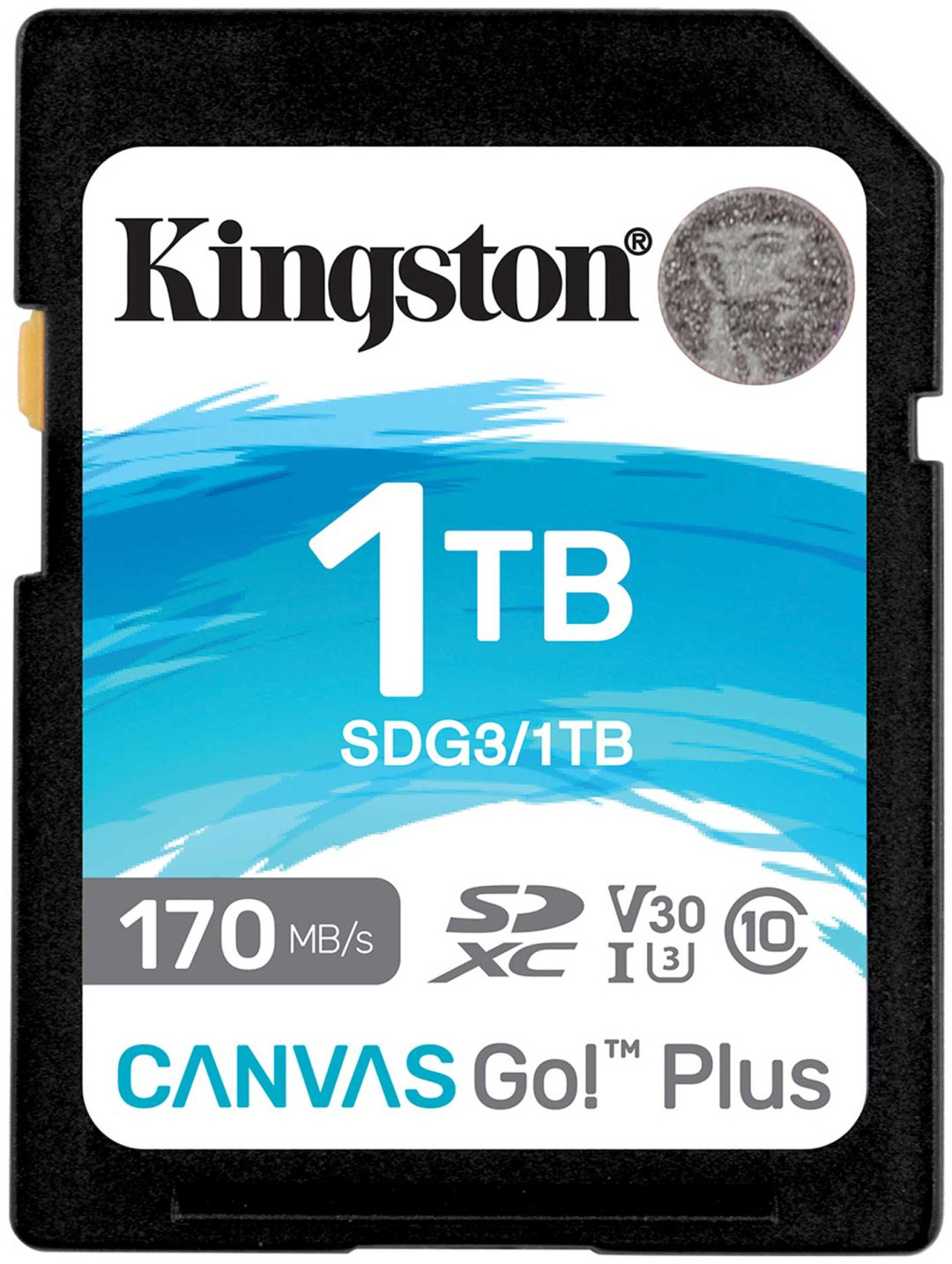 Карта памяти Kingston SDG3/1TB 1024 Гб купить,NaN