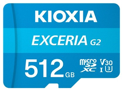 Карта памяти KIOXIA LMEX2L512GG2 512 Гб купить,NaN