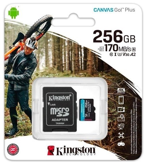 Карта памяти Kingston SDCG3/256GB 256 Гб купить,NaN