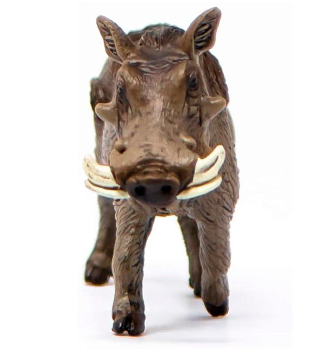 Фигурка Schleich Бородавочник 14843 купить,NaN
