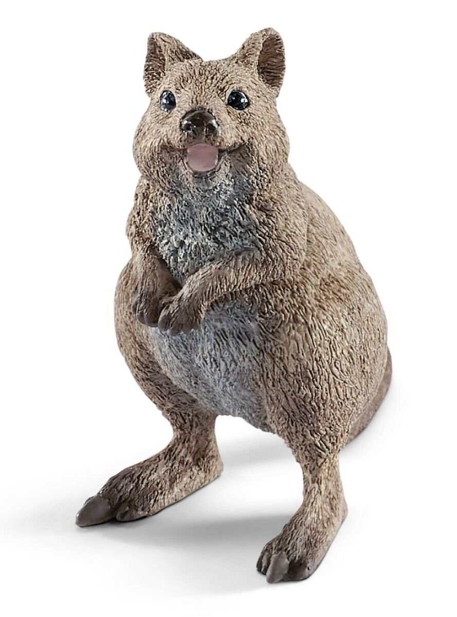 Фигурка Schleich Короткохвостый кенгуру 14823 купить,NaN